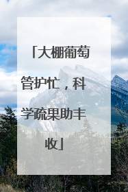 大棚葡萄管护忙，科学疏果助丰收