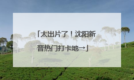 太出片了！沈阳新晋热门打卡地→
