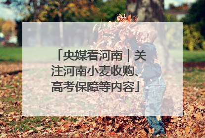 央媒看河南｜关注河南小麦收购、高考保障等内容