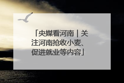 央媒看河南｜关注河南抢收小麦、促进就业等内容