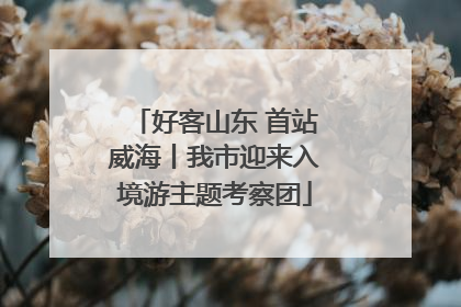 好客山东 首站威海丨我市迎来入境游主题考察团