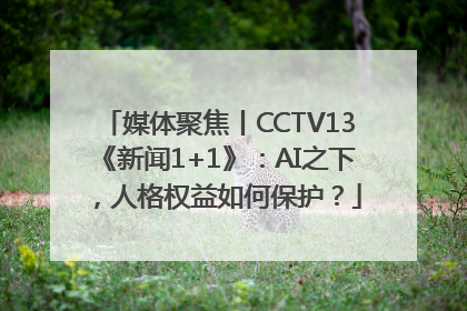 媒体聚焦丨CCTV13《新闻1+1》：AI之下，人格权益如何保护？
