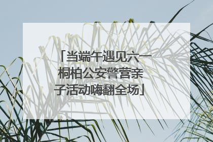 当端午遇见六一 桐柏公安警营亲子活动嗨翻全场