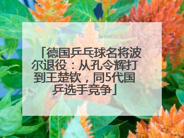德国乒乓球名将波尔退役：从孔令辉打到王楚钦，同5代国乒选手竞争
