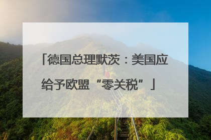 德国总理默茨：美国应给予欧盟“零关税”