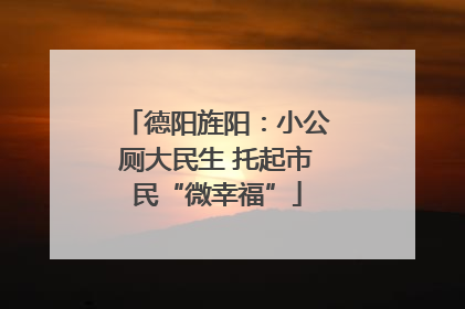 德阳旌阳：小公厕大民生 托起市民“微幸福”