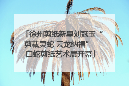徐州剪纸新星刘冠玉“剪裁灵蛇 云龙纳福” 白蛇剪纸艺术展开幕
