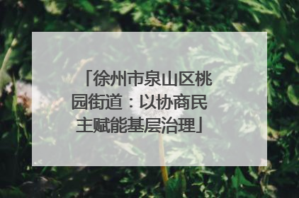 徐州市泉山区桃园街道：以协商民主赋能基层治理