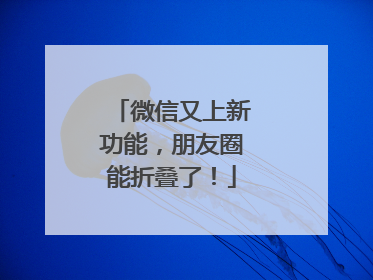 微信又上新功能，朋友圈能折叠了！