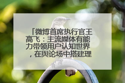 微博首席执行官王高飞：主流媒体有能力带领用户认知世界，在舆论场中搭建理性的讨论空间