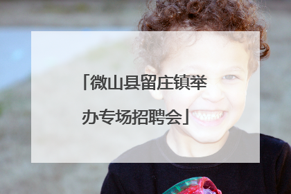 微山县留庄镇举办专场招聘会
