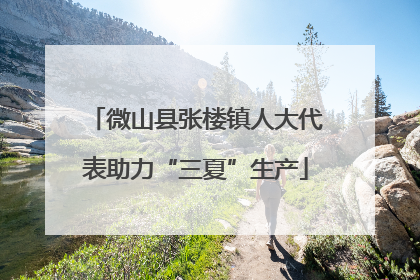 微山县张楼镇人大代表助力“三夏”生产
