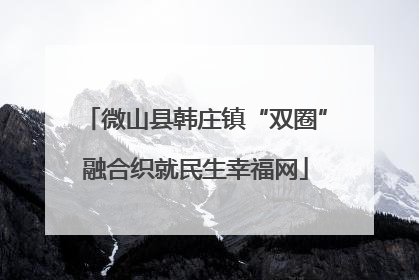 微山县韩庄镇“双圈”融合织就民生幸福网