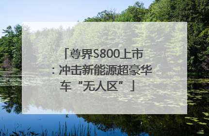 尊界S800上市：冲击新能源超豪华车“无人区”