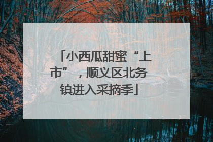 小西瓜甜蜜“上市”，顺义区北务镇进入采摘季