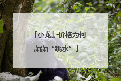 小龙虾价格为何频频“跳水”