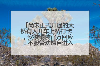 尚未正式开通的大桥有人开车上桥打卡，安徽铜陵官方回应：不服管劝擅自进入，已采取措施
