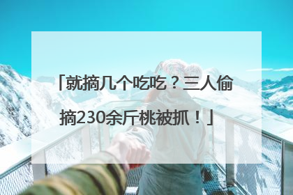就摘几个吃吃？三人偷摘230余斤桃被抓！