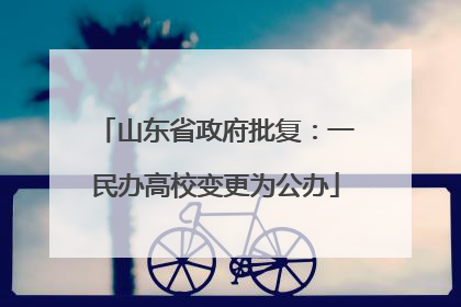 山东省政府批复：一民办高校变更为公办