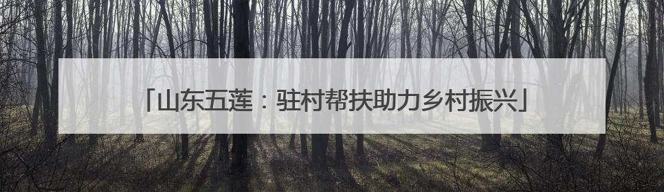 山东五莲：驻村帮扶助力乡村振兴