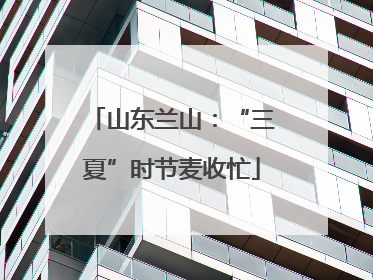 山东兰山：“三夏”时节麦收忙