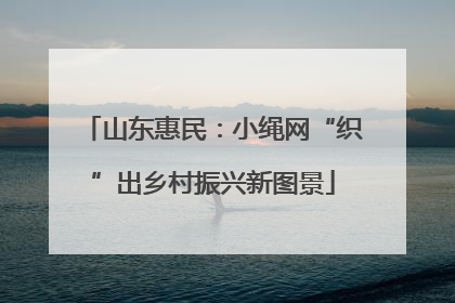 山东惠民：小绳网“织”出乡村振兴新图景
