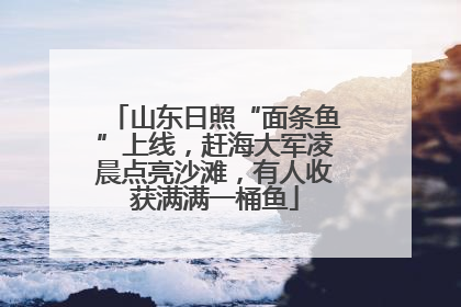 山东日照“面条鱼”上线，赶海大军凌晨点亮沙滩，有人收获满满一桶鱼