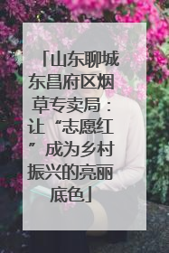 山东聊城东昌府区烟草专卖局：让“志愿红”成为乡村振兴的亮丽底色