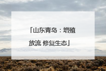 山东青岛：增殖放流 修复生态