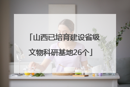 山西已培育建设省级文物科研基地26个