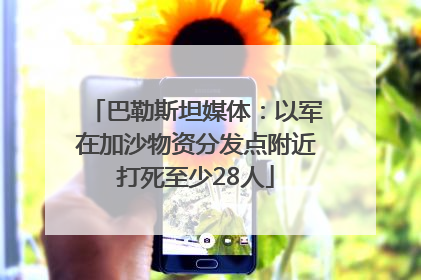 巴勒斯坦媒体：以军在加沙物资分发点附近打死至少28人