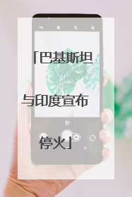 巴基斯坦与印度宣布停火