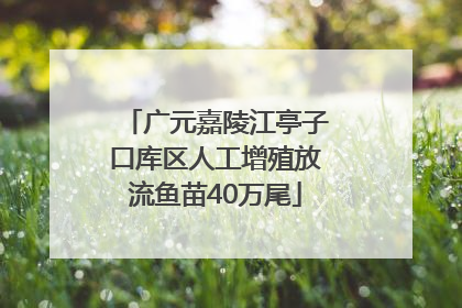 广元嘉陵江亭子口库区人工增殖放流鱼苗40万尾