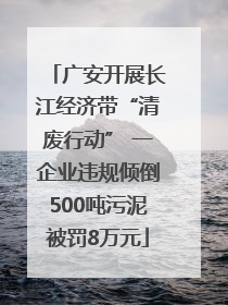 广安开展长江经济带“清废行动” 一企业违规倾倒500吨污泥被罚8万元