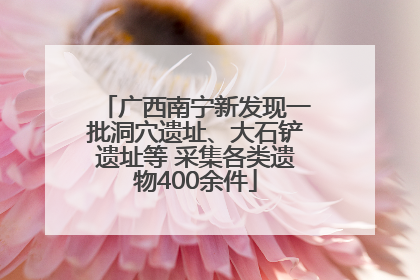 广西南宁新发现一批洞穴遗址、大石铲遗址等 采集各类遗物400余件