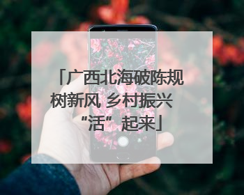 广西北海破陈规树新风 乡村振兴“活”起来