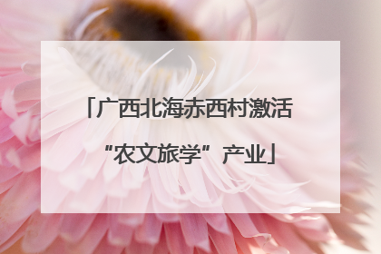广西北海赤西村激活“农文旅学”产业