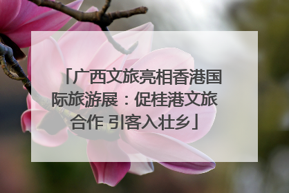广西文旅亮相香港国际旅游展：促桂港文旅合作 引客入壮乡