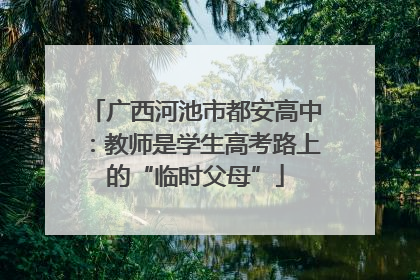 广西河池市都安高中：教师是学生高考路上的“临时父母”
