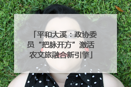 平和大溪：政协委员“把脉开方”激活农文旅融合新引擎