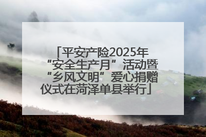 平安产险2025年“安全生产月”活动暨“乡风文明”爱心捐赠仪式在菏泽单县举行