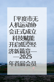 平度市无人机运动协会正式成立 科技赋能开启低空经济新篇章——2025年首届会员大会暨无人机应用发展论坛成功举办