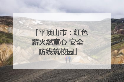 平顶山市：红色薪火燃童心 安全防线筑校园
