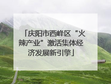 庆阳市西峰区“火辣产业”激活集体经济发展新引擎