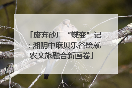 废弃砂厂“蝶变”记：湘阴中麻贝乐谷绘就农文旅融合新画卷