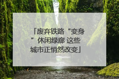 废弃铁路“变身”休闲绿廊 这些城市正悄然改变