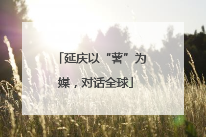 延庆以“薯”为媒，对话全球