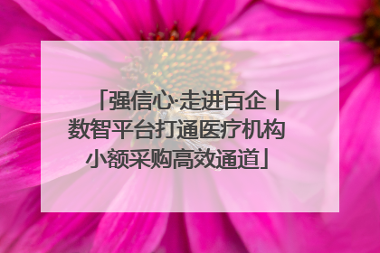 强信心·走进百企丨数智平台打通医疗机构小额采购高效通道