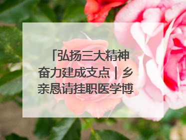 弘扬三大精神 奋力建成支点｜乡亲恳请挂职医学博士再留一年