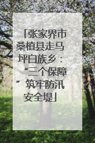 张家界市桑植县走马坪白族乡：“三个保障”筑牢防汛安全堤